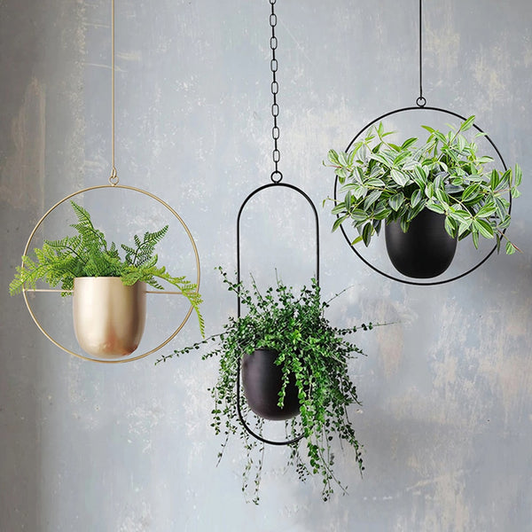 Modern Hanging Planters