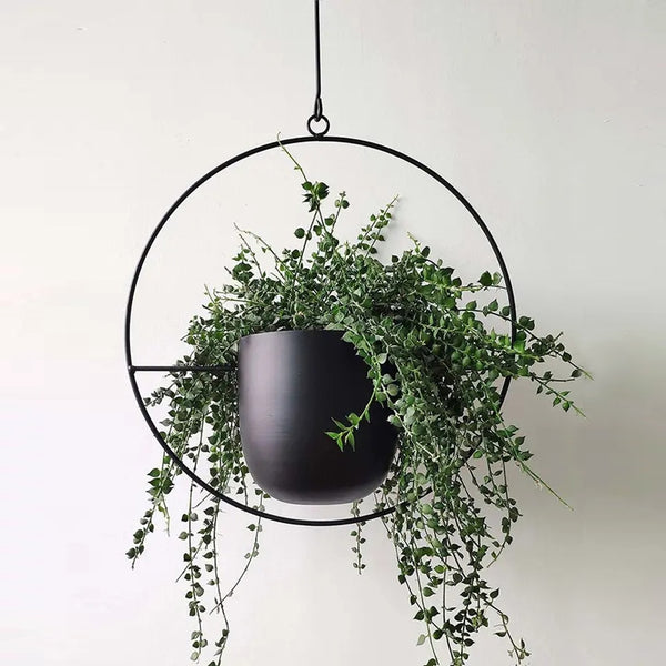 Modern Hanging Planters