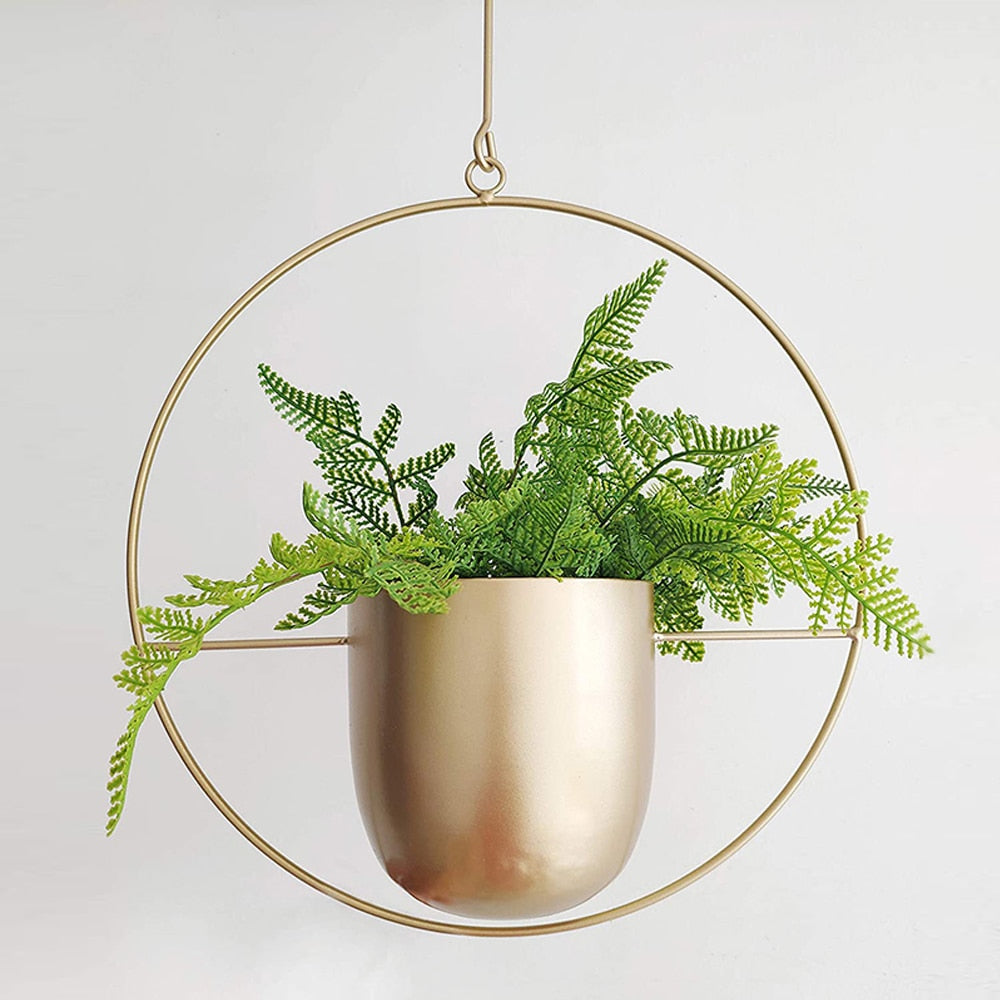 Modern Hanging Planters