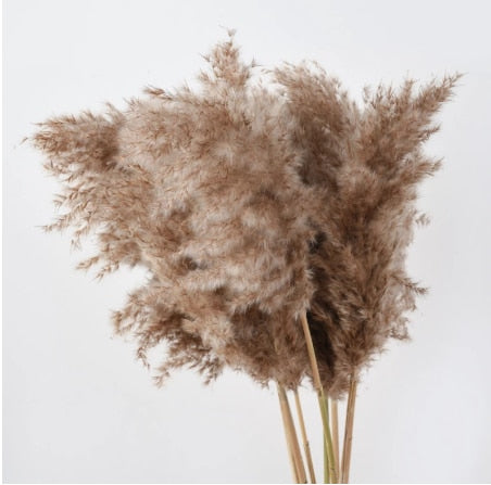 Faux Pampas Grass